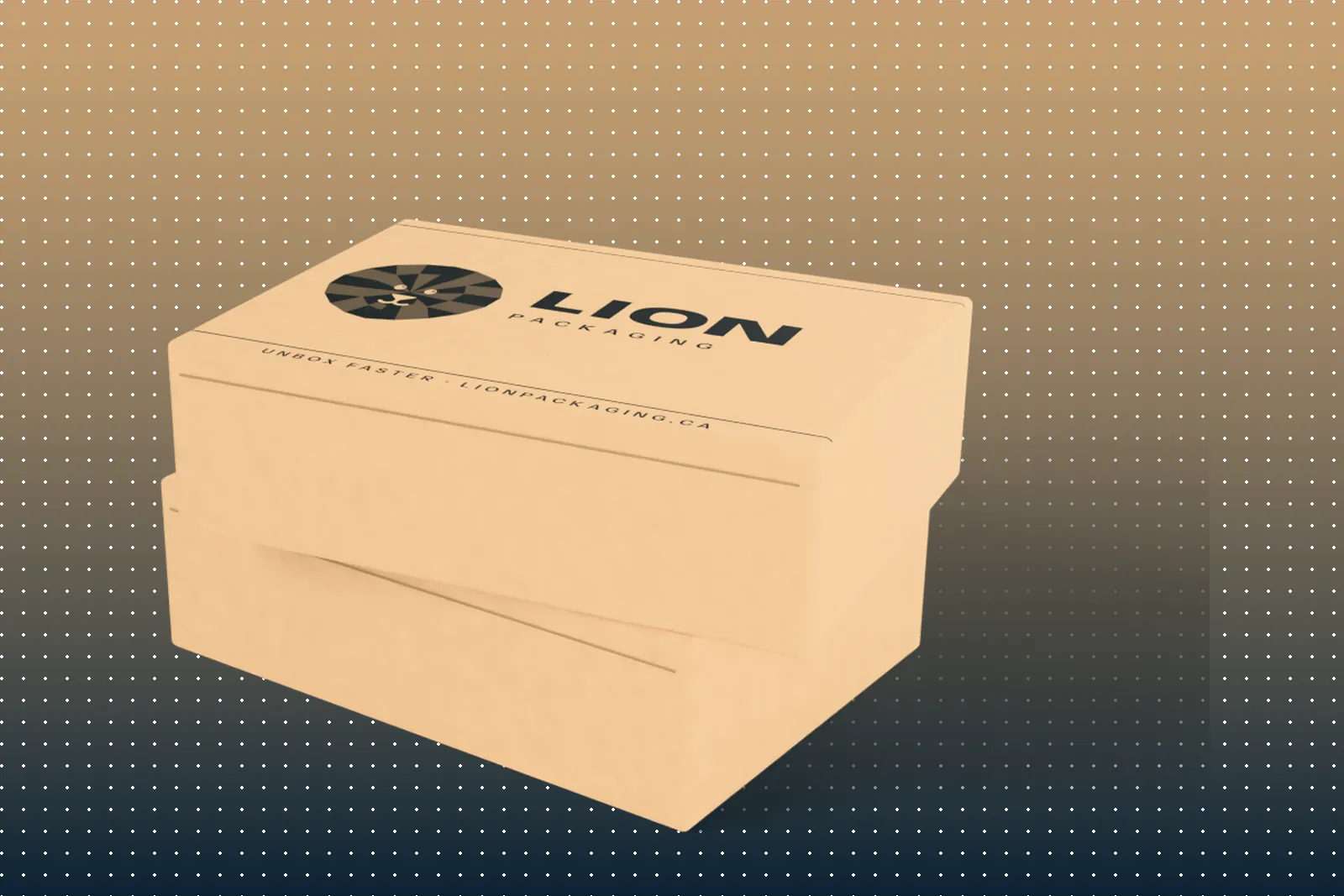 Retail & e-commerce packaging by Lion Packaging