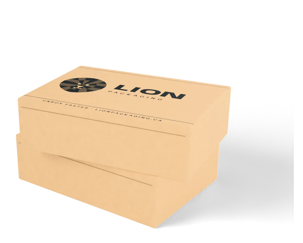 Corrugated Boxes & Mailers by Lion Packaging